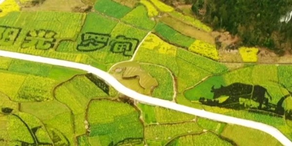 土地的涅槃｜全域土地綜合整治為何爆火？設(shè)計(jì)院如何搶占風(fēng)口？