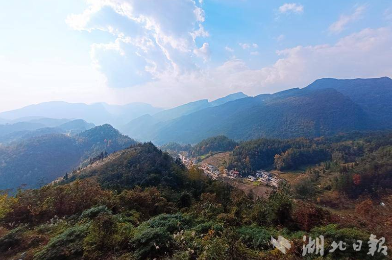 c87b3ee4-3656-4da2-8024-f49f0c8efb17